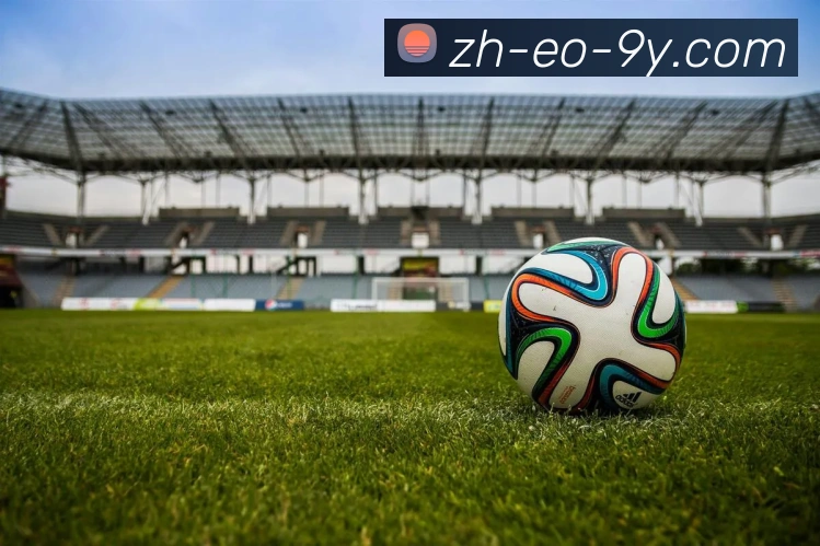 九游官网APP 体育赛事宣传图